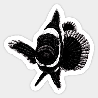 Black ocellaris clownfish illustration Sticker